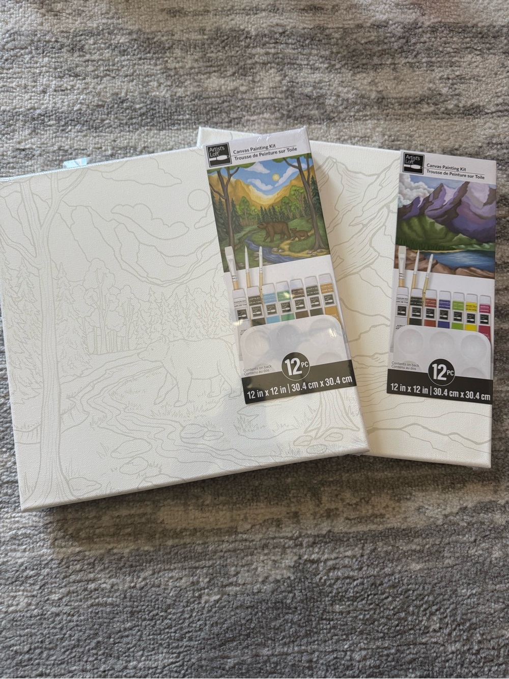 Canvas Paint Kit with Pre-Printed White Canvas - 12x12, set of 2